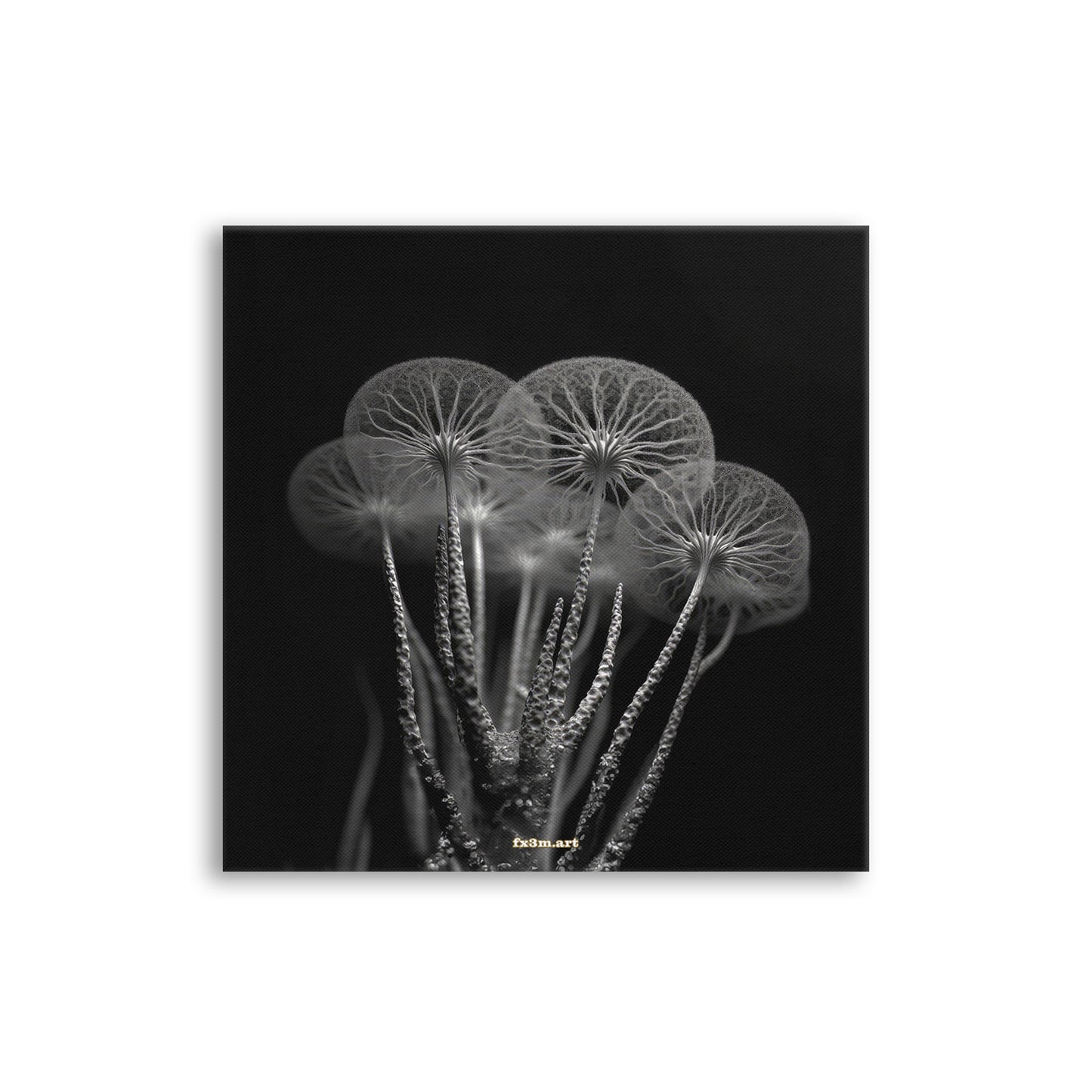 ◤◢ SCHLEIMPILZ ON CANVAS ➽ 34 STROHBLUMEN